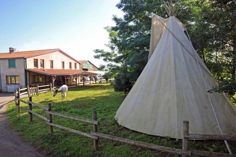 centres-de-tourisme-questre-en-alsace-proposant-de-la-randonn-e-questre