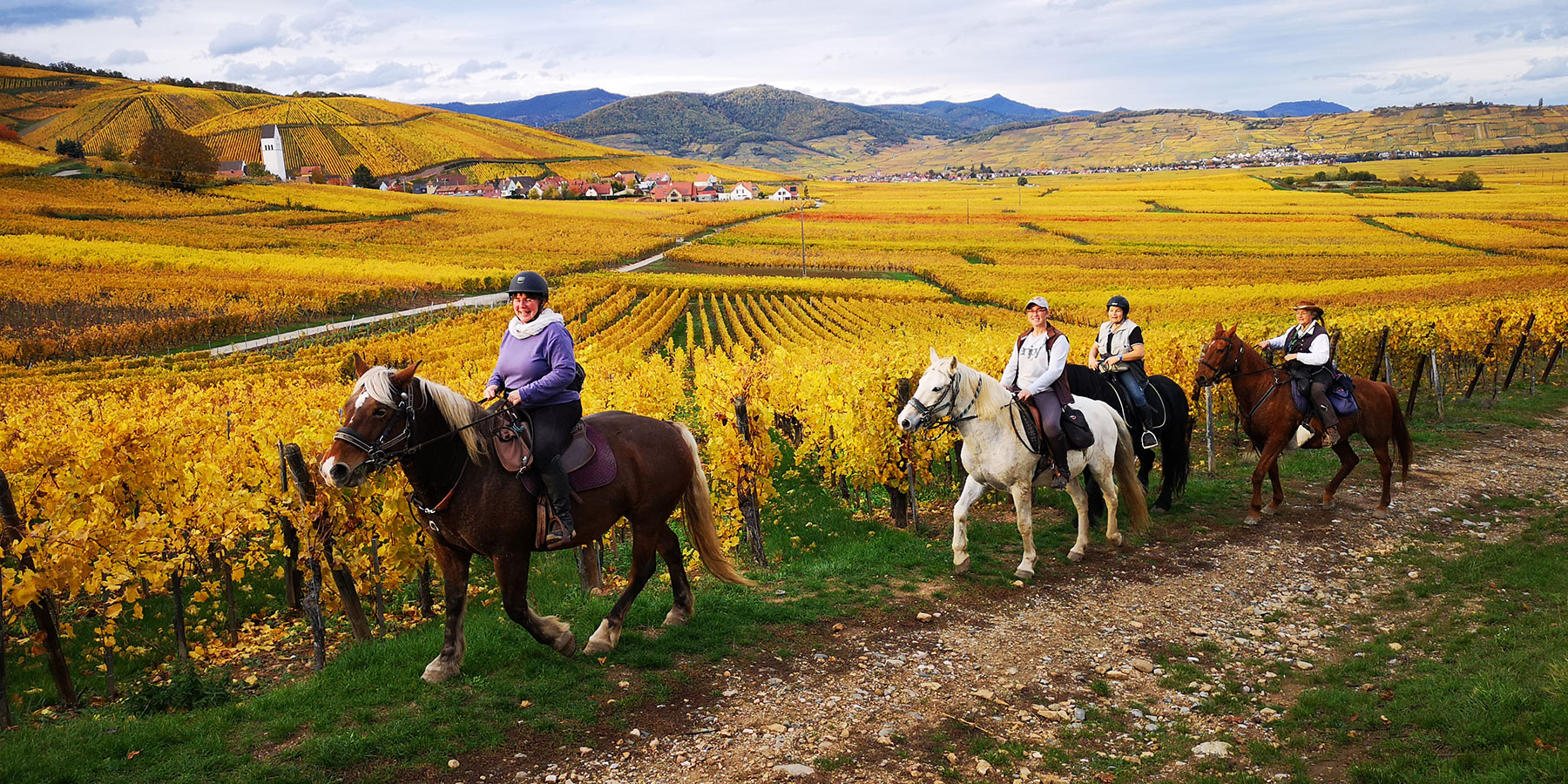 Wanderreiten im Elsass