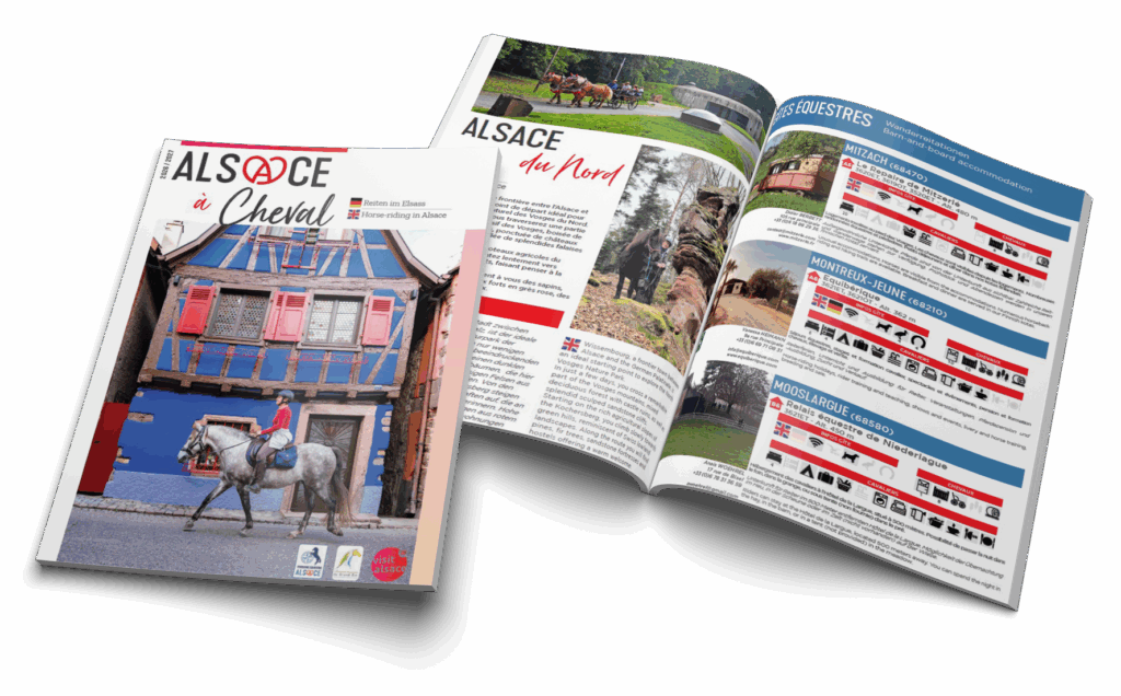 mockup-brochure--2026 Brochure Alsace à cheval 2026